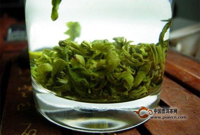 涌溪火青怎么泡