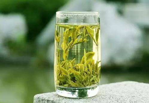 喝碣滩茶有什么好处，盘点碣滩茶的七大功效