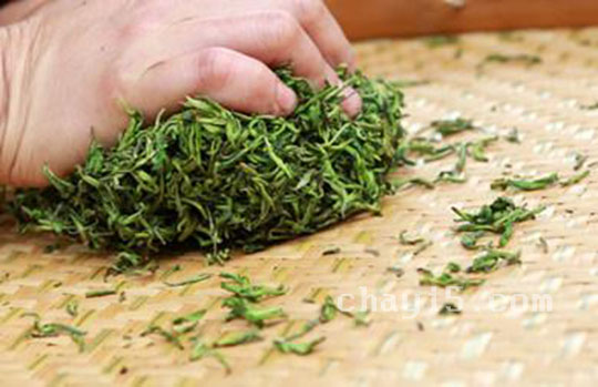 碣滩茶的功效与作用 碣滩茶什么时候喝最好
