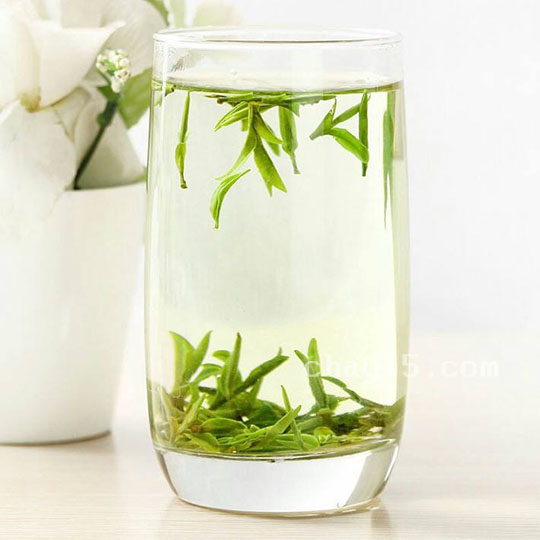 碣滩茶的冲泡方法，7步泡出好喝的碣滩茶