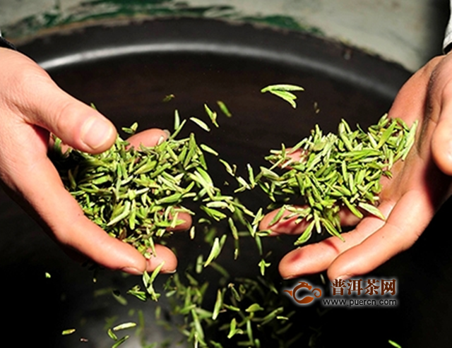 碣滩茶加工工艺