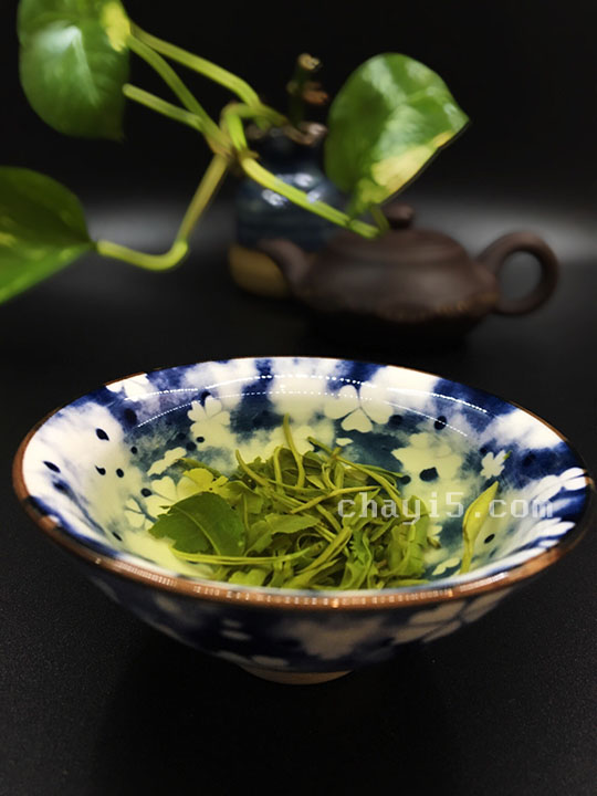 茶叶西山茶的作用与禁忌