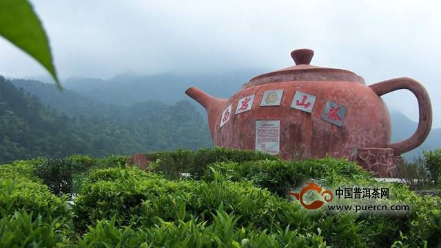 西山茶的特性