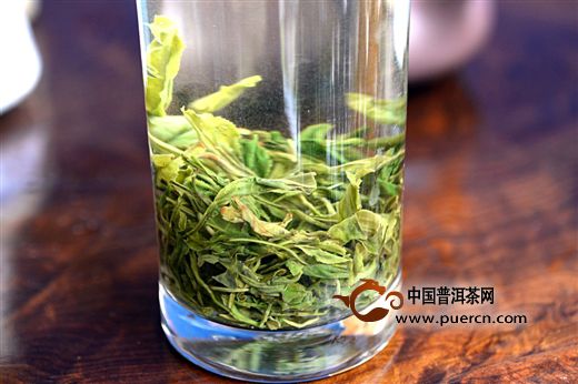 桂平西山茶怎么泡才好喝