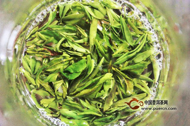 敬亭绿雪茶怎么泡