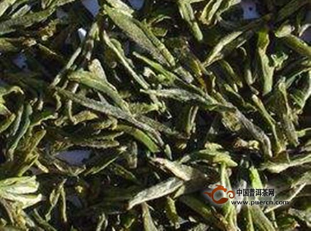 敬亭绿雪好喝吗