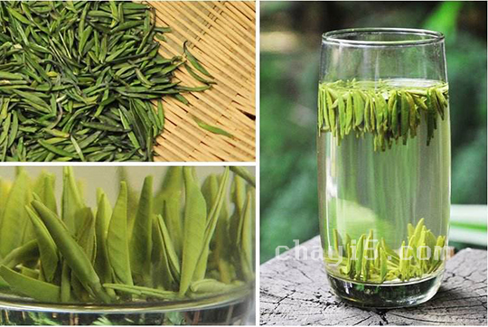 茶叶兰馨雀舌的作用与禁忌