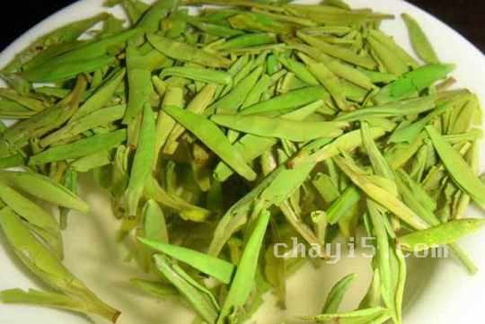 茶叶兰馨雀舌的作用与禁忌