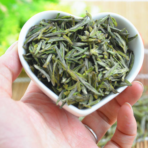 天柱剑毫的功效与禁忌事项