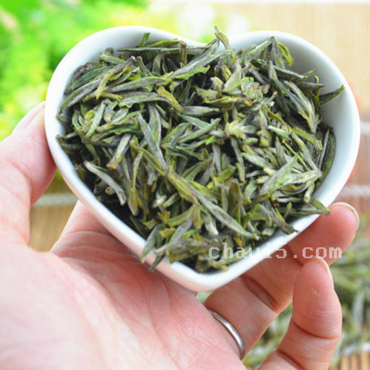 天柱剑毫的功效与作用 天柱剑毫的禁忌事项