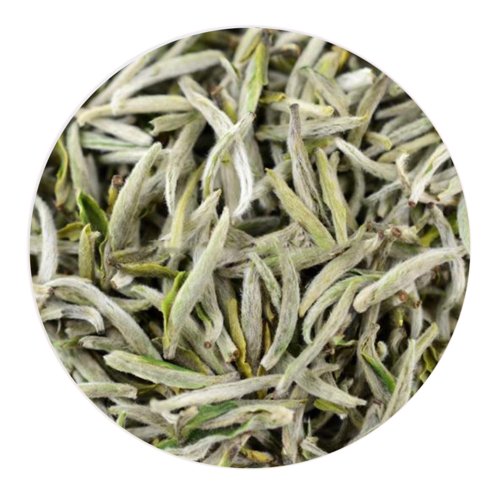 松阳银猴：松阳名茶之魁