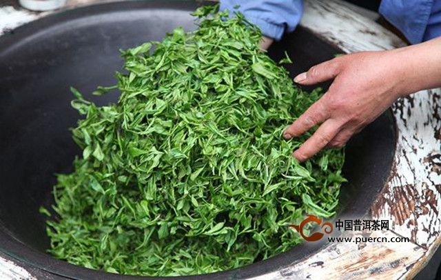 松阳银猴茶采摘时间