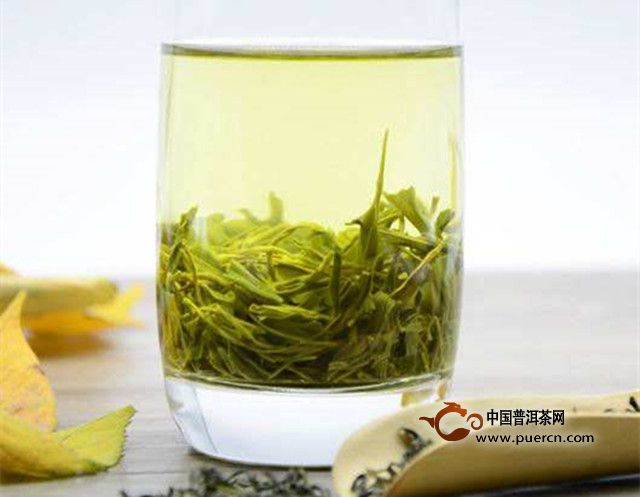 松阳银猴茶适合什么人喝