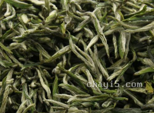 惠明茶的功效与作用 惠明茶的禁忌事项
