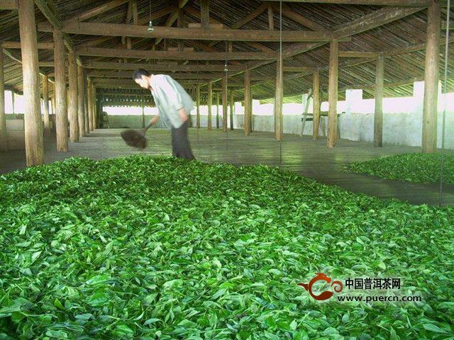 千岛玉叶制作工序