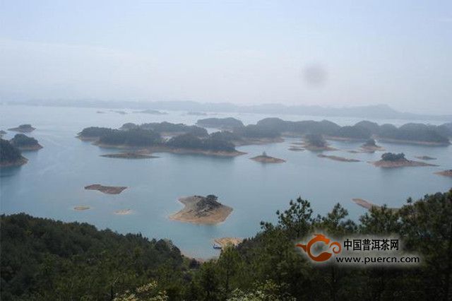 千岛玉叶的历史