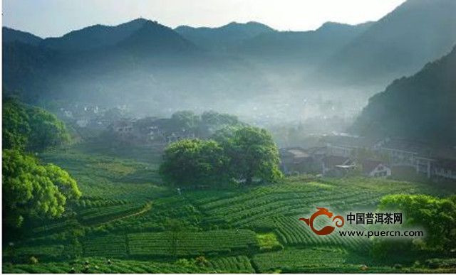 千岛玉叶的历史