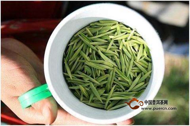 千岛玉叶与清溪玉芽的区别
