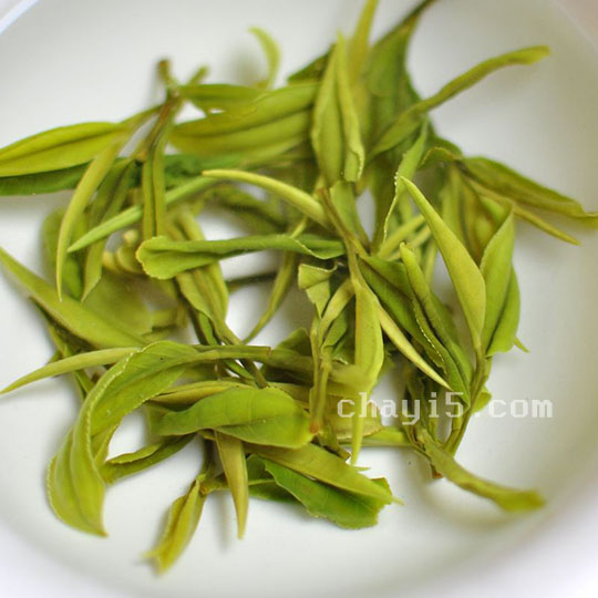 茶叶天目青顶的作用与禁忌