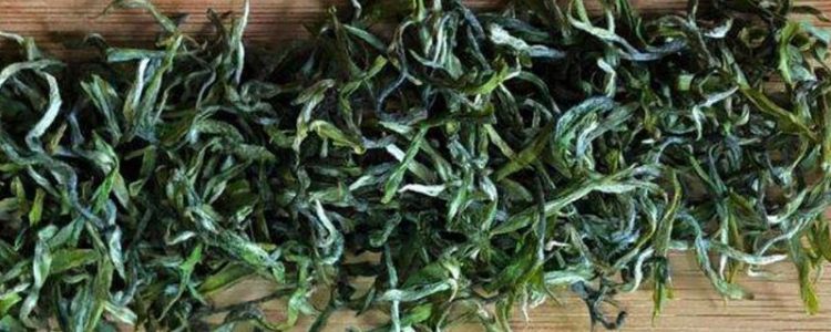 鸠坑毛尖的制作过程