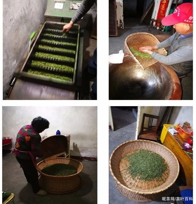 鸠坑毛尖的制作过程