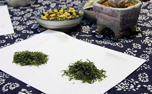 雁荡毛峰是什么茶