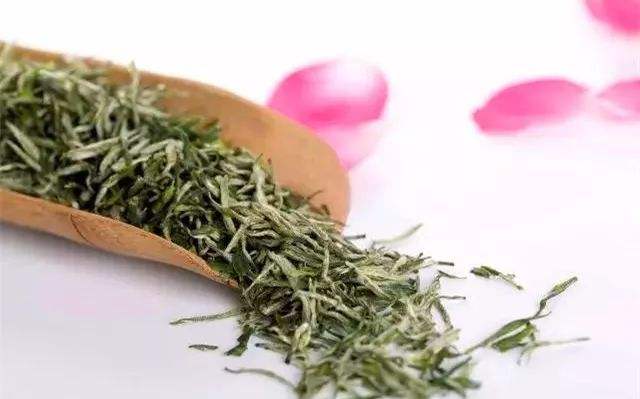 雁荡毛峰的功效与禁忌事项