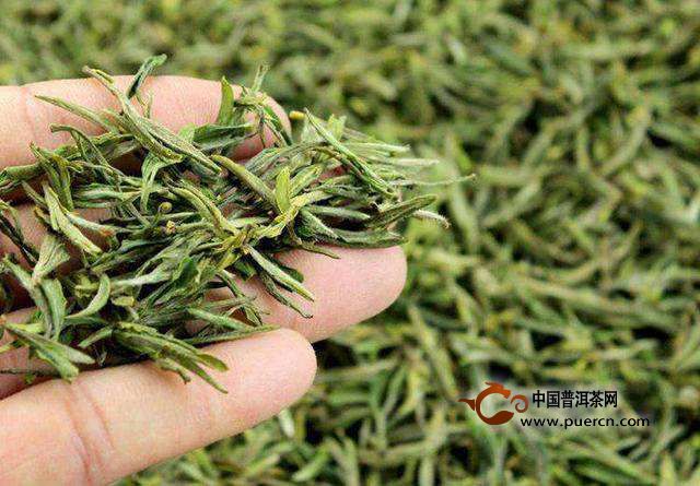 雁荡毛峰好喝吗