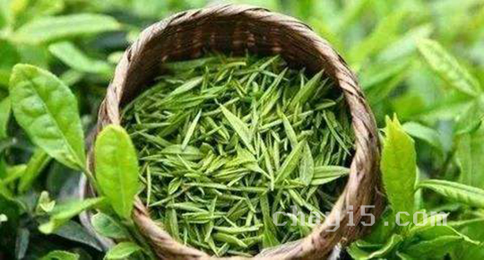 婺源茗眉的功效与作用 婺源茗眉什么时候喝最好