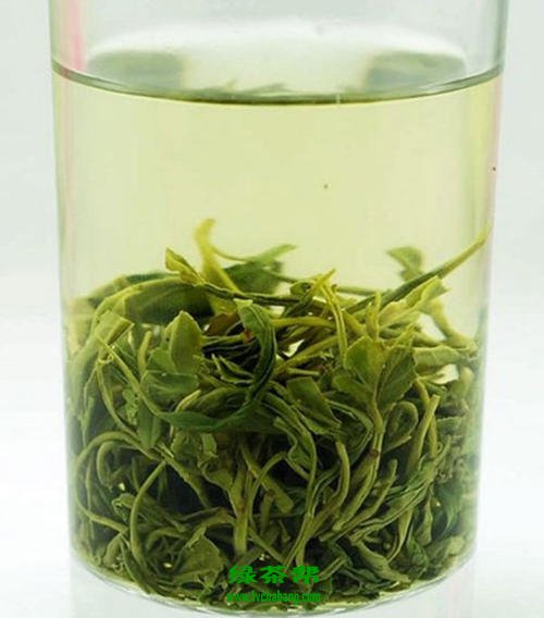 婺源茗眉茶的功效与作用及禁忌