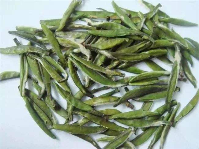 仙人掌茶的功效与禁忌事项
