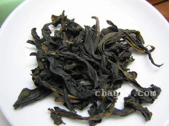 仙人掌茶的功效与作用 仙人掌茶什么时候喝最好