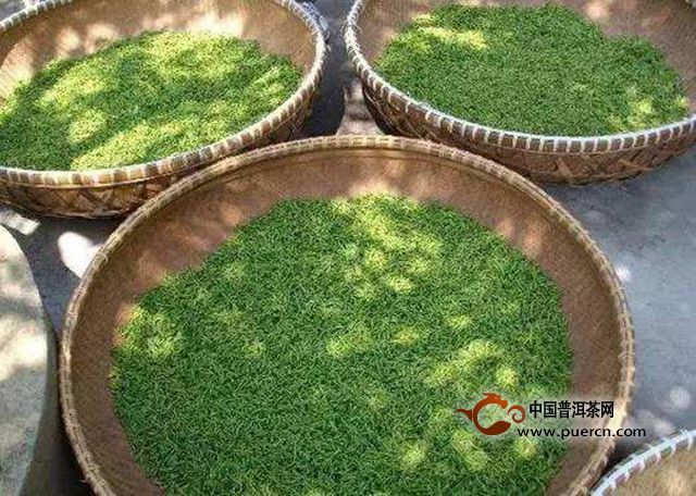 花果山云雾茶的工艺特征