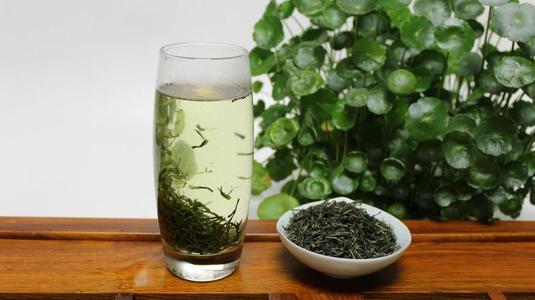 喝仰天雪绿茶对身体有什么好处