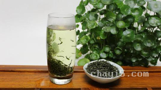 茶叶仰天雪绿的作用与禁忌