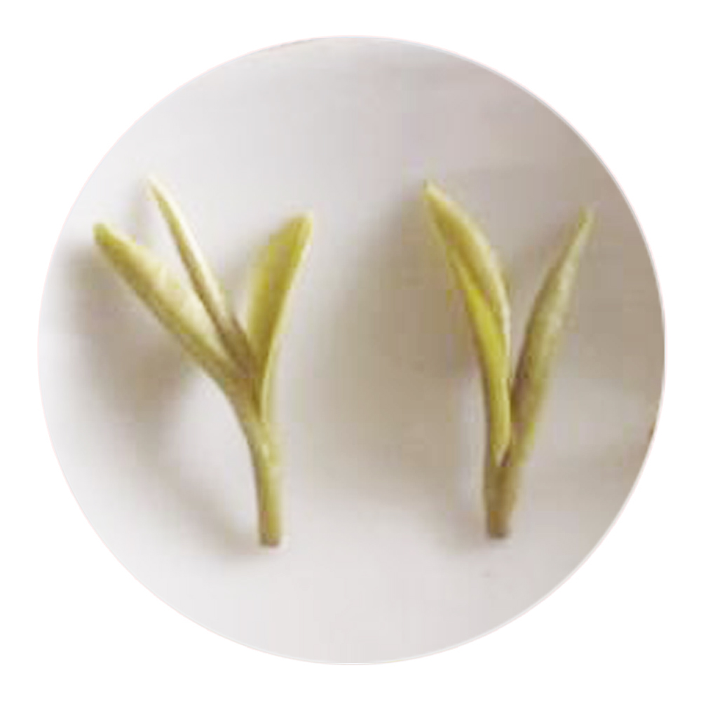 瑞草魁：山实东吴秀，茶称瑞草魁
