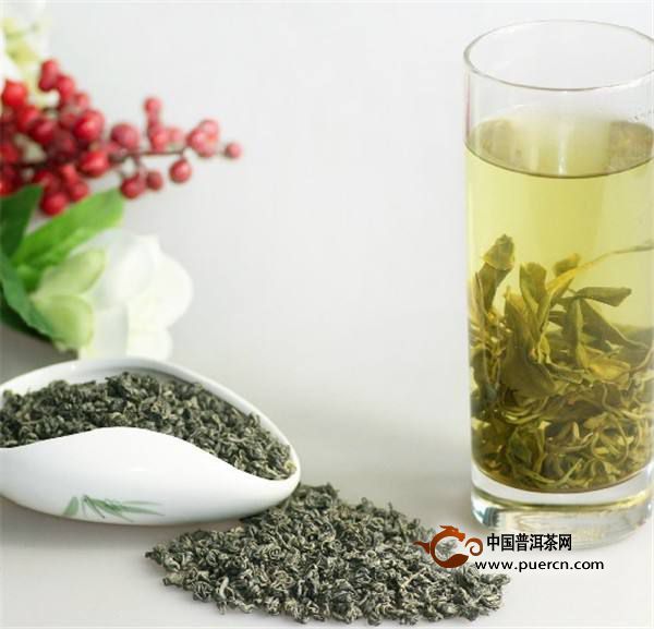 泉岗辉白是绿茶吗