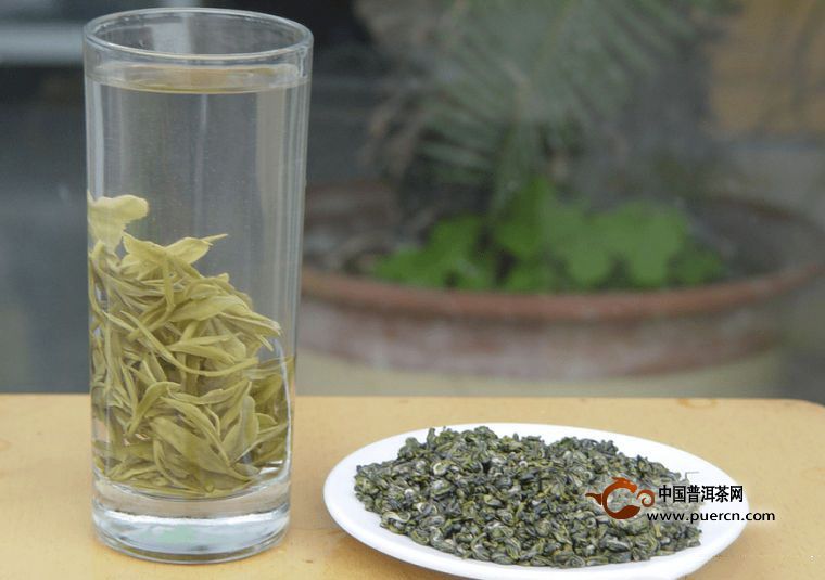 泉岗辉白的冲泡方法