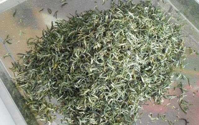 桂林毛尖的功效与禁忌事项