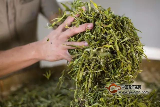 桂林毛尖制作工艺