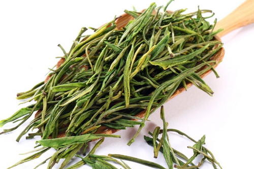 建德苞茶的功效与禁忌事项