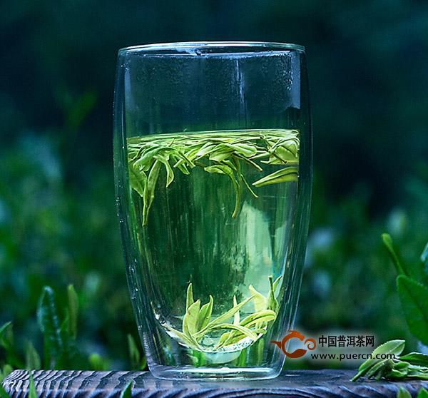 建德苞茶功效与禁忌