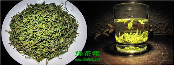 建德苞茶的功效与作用及禁忌
