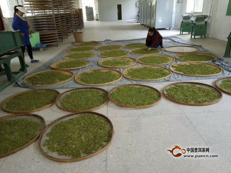 桂东玲珑茶采制工艺