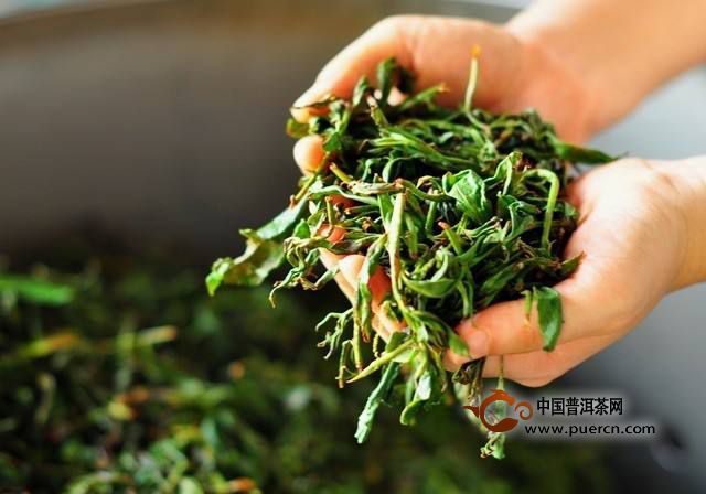 桂东玲珑茶采制工艺