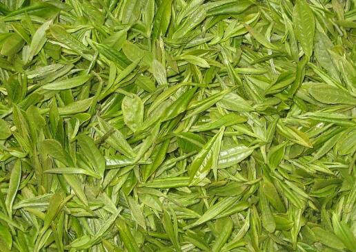 天山绿茶的功效与作用 天山绿茶的冲泡方法