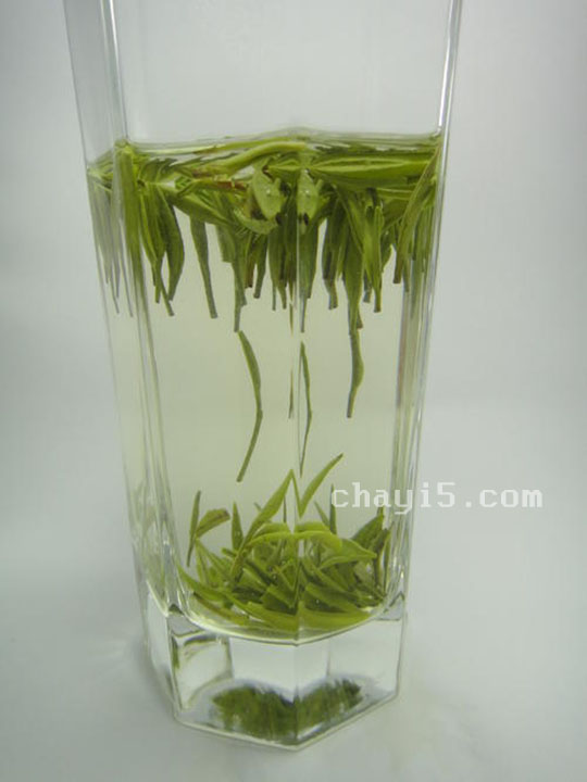 天山绿茶的功效与作用 天山绿茶什么时候喝最好
