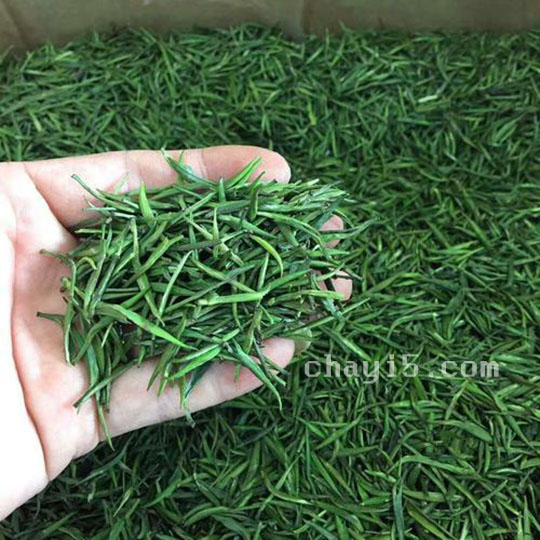 茶叶汉水银梭的作用与禁忌