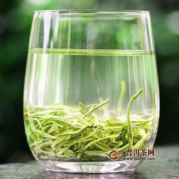 双井绿茶简介