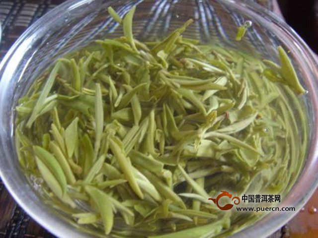 双井绿怎么样